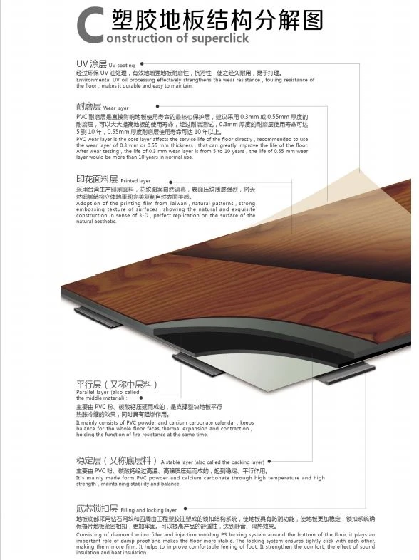 PVC ECOLOGICAL FLOOR PVC ECOLOGICAL FLOOR